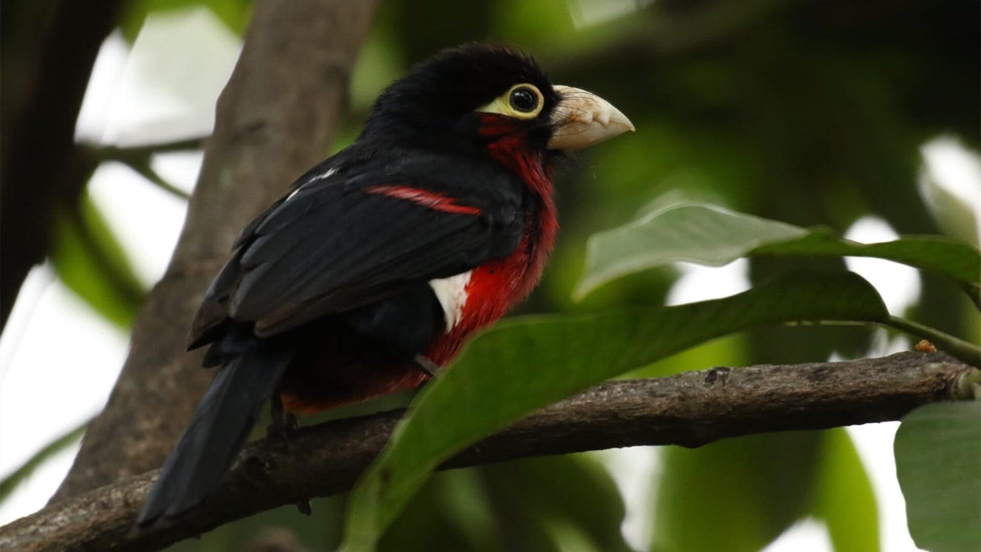国庆节有什么电影