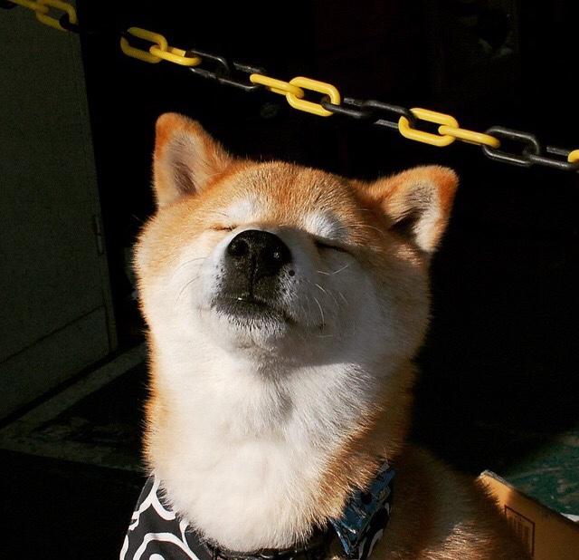 哪里有比较悠闲的曲子